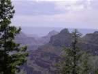 Hiking North Rim- Widforss Trail (40).jpg (71kb)